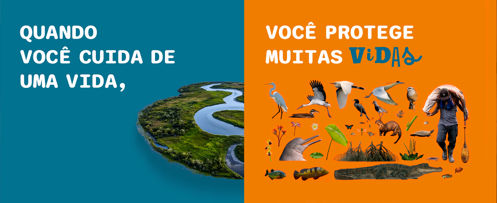 Quando você cuida de uma vida, você protege muitas vidas