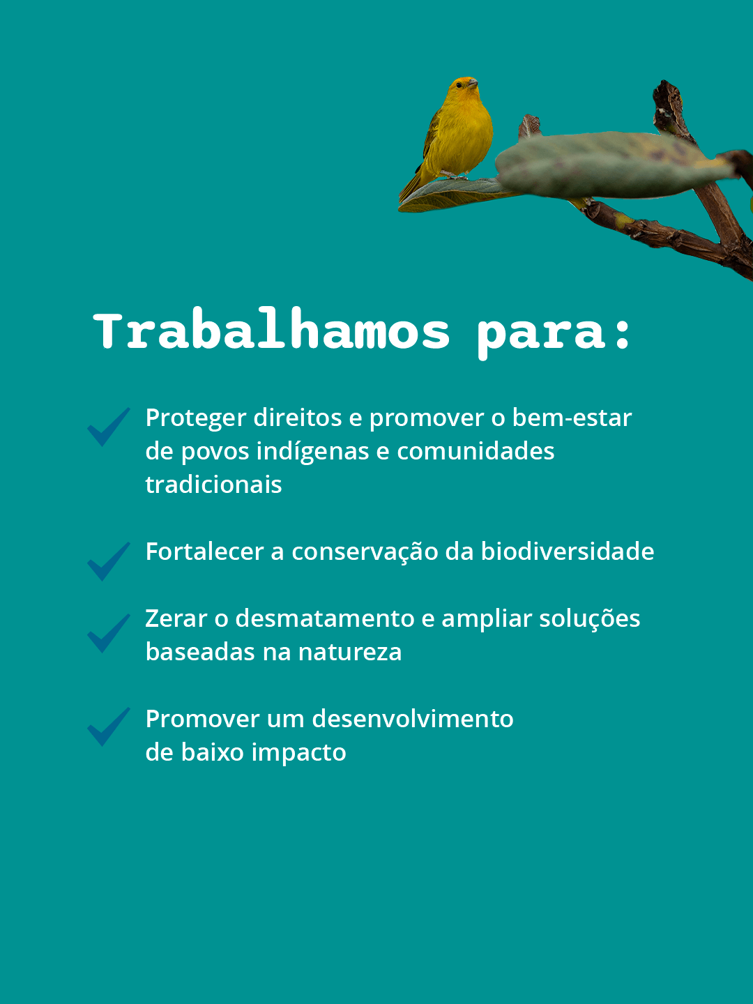 Card institucional do WWF-Brasil 2