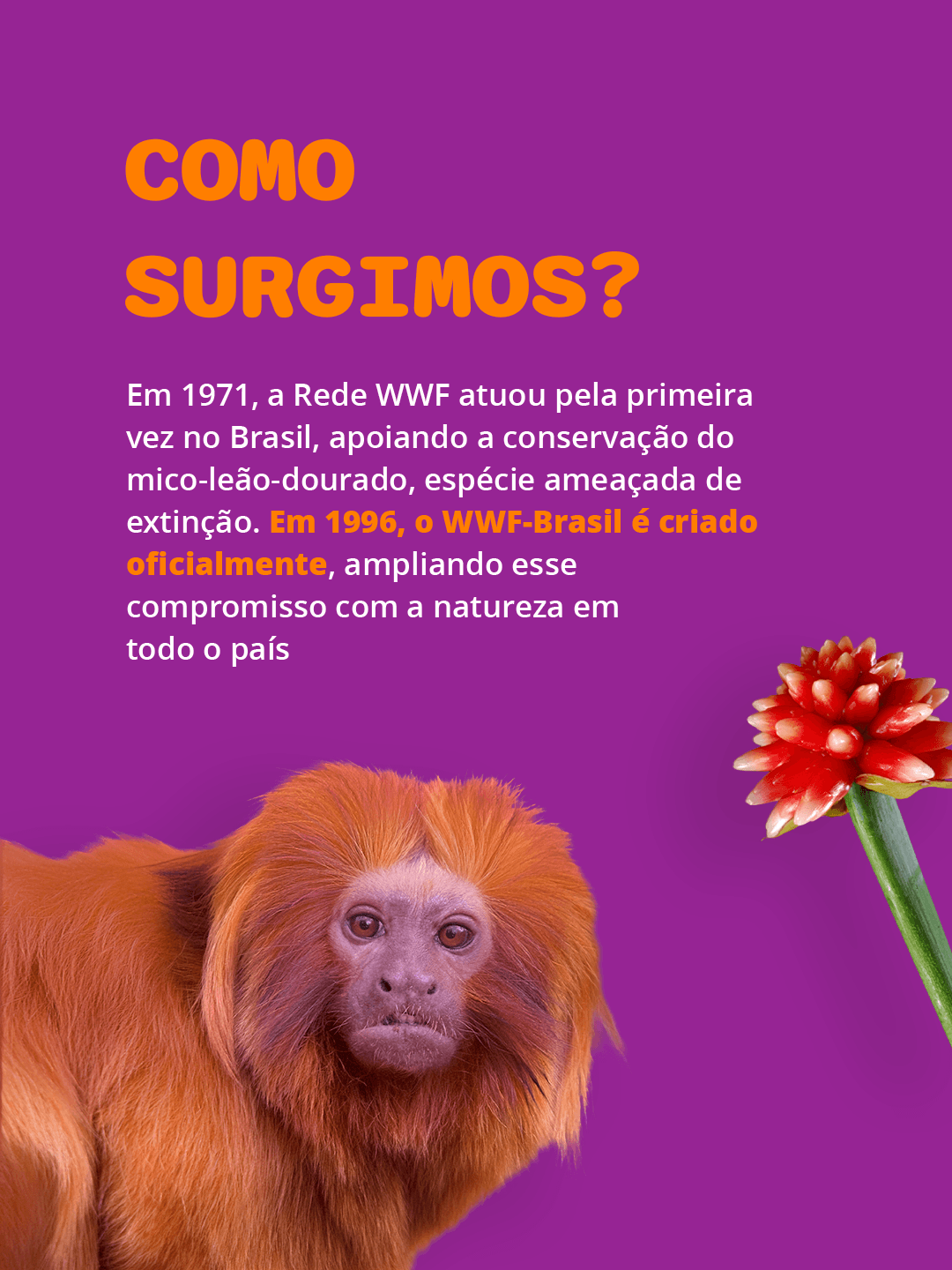 Card institucional do WWF-Brasil 6