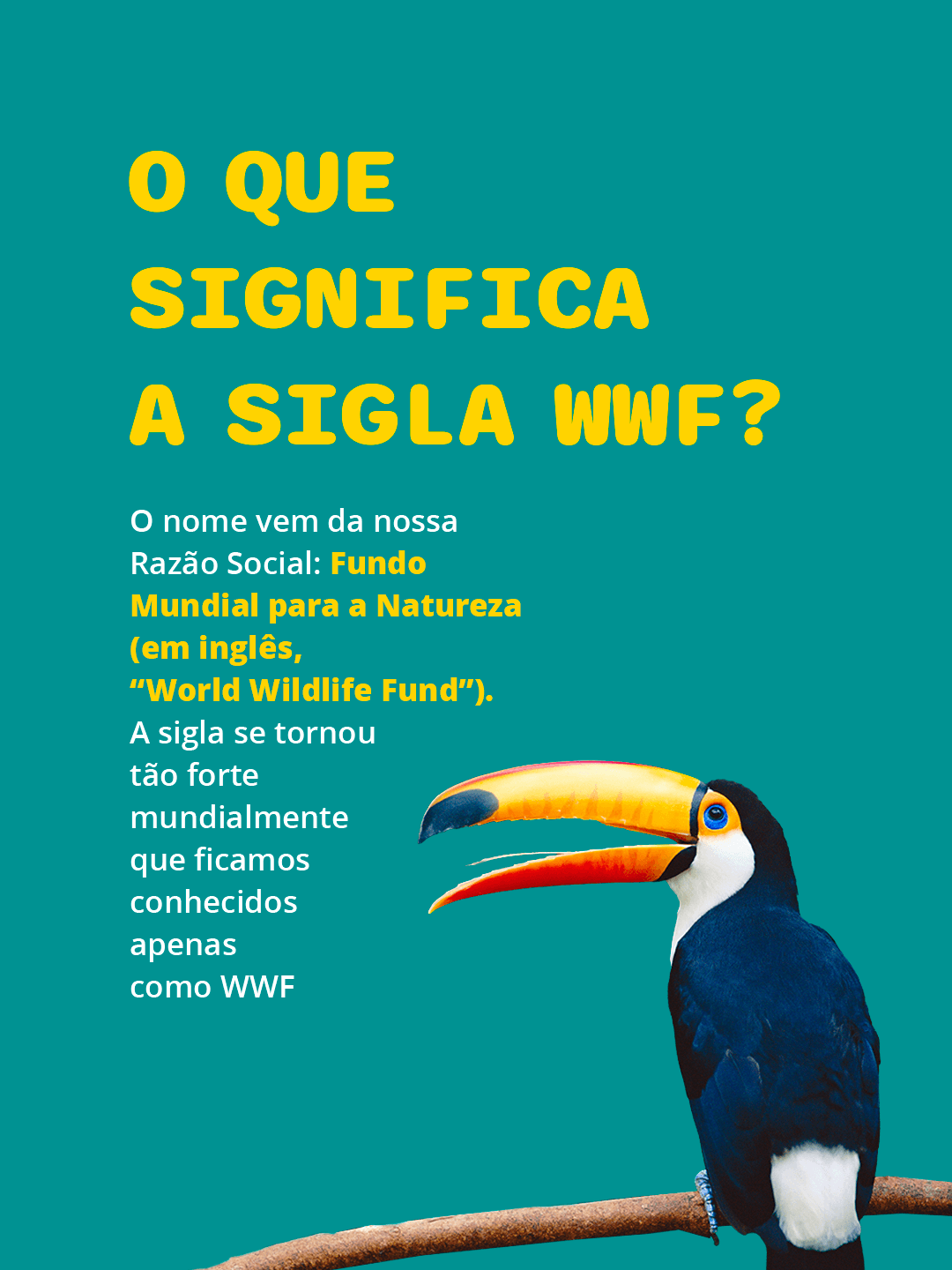 Card institucional do WWF-Brasil 7