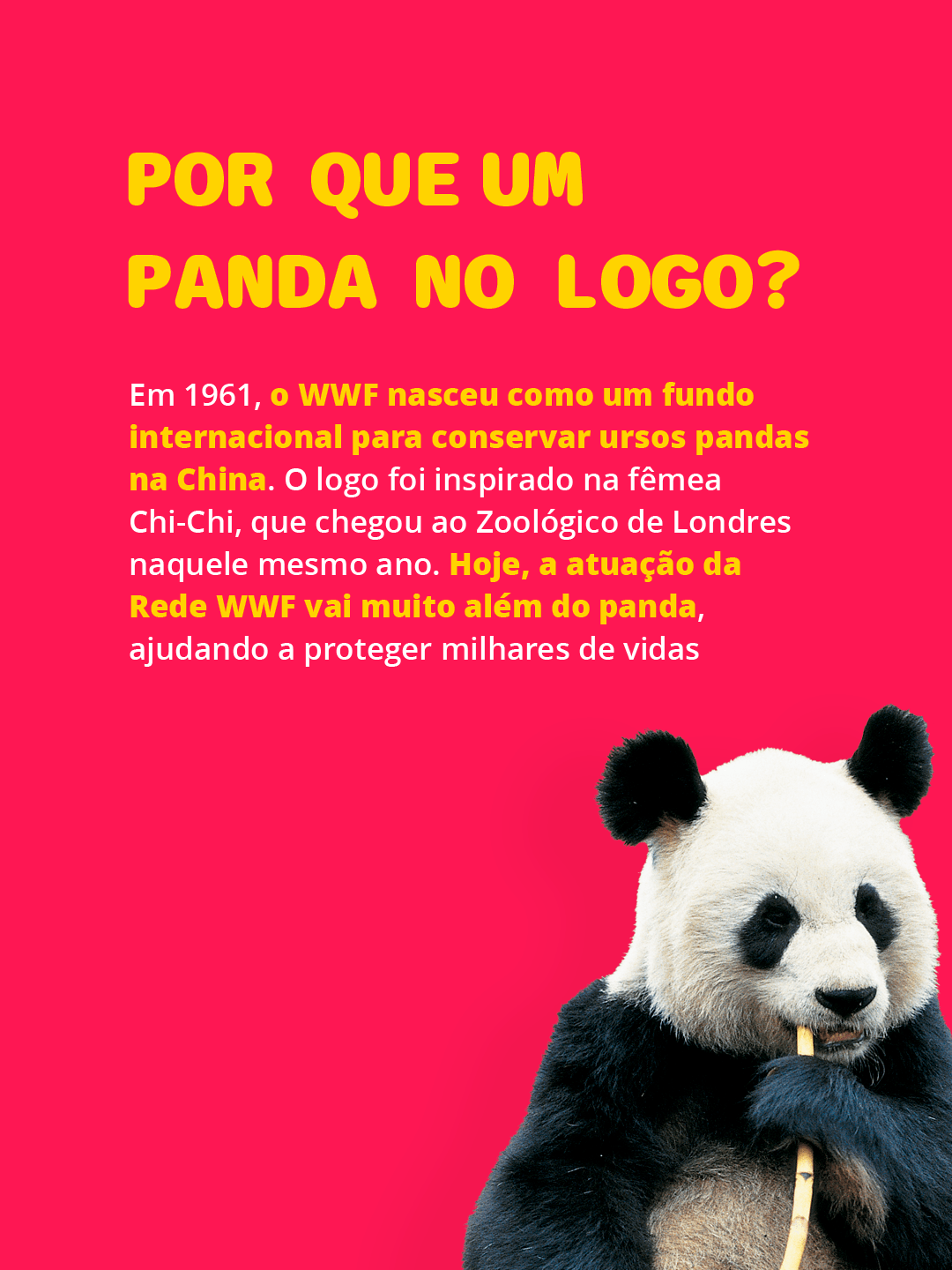 Card institucional do WWF-Brasil 8
